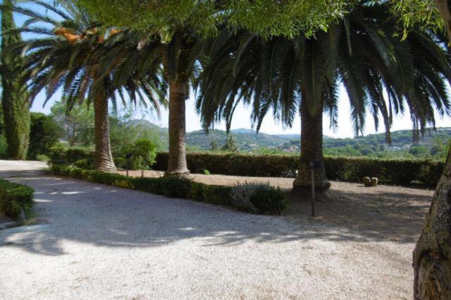 Villa Vanna Trilo -Quadrilocale Capoliveri  Exteriér fotografie