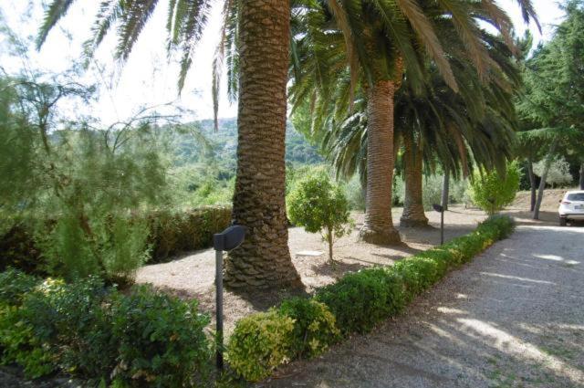Villa Vanna Trilo -Quadrilocale Capoliveri  Exteriér fotografie